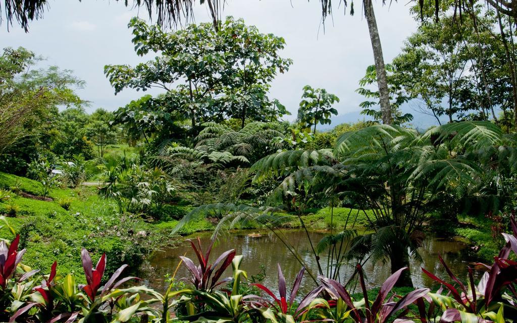 Huasquila Amazon Lodge Cotundo Екстер'єр фото