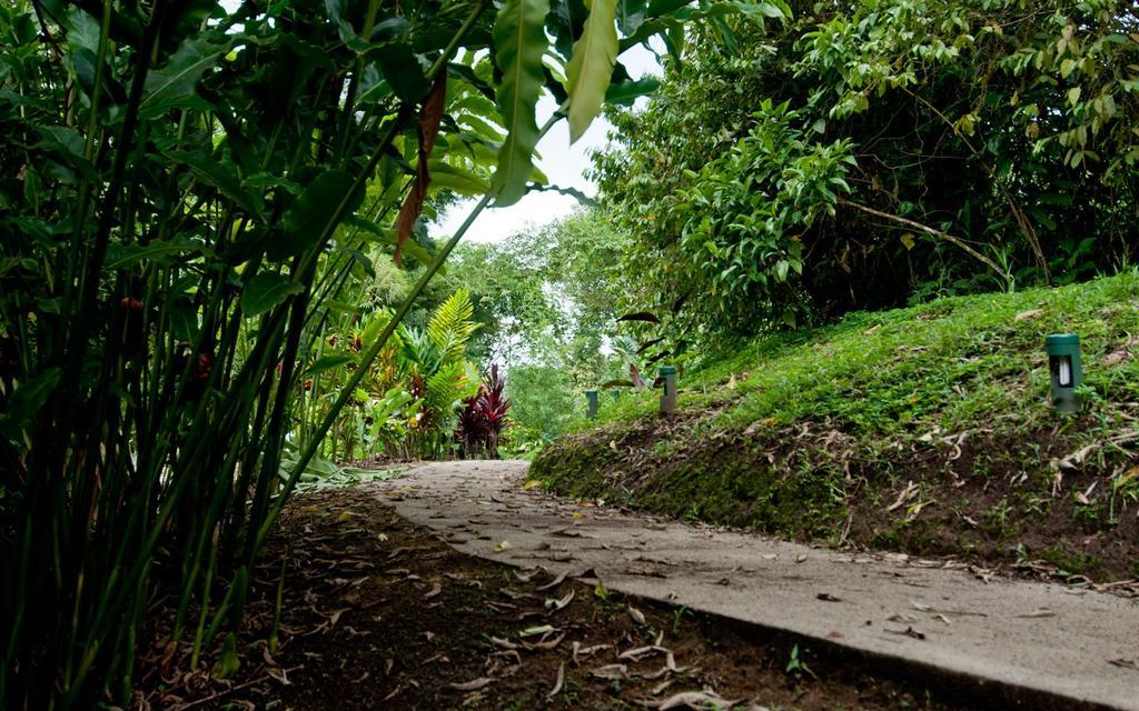 Huasquila Amazon Lodge Cotundo Екстер'єр фото