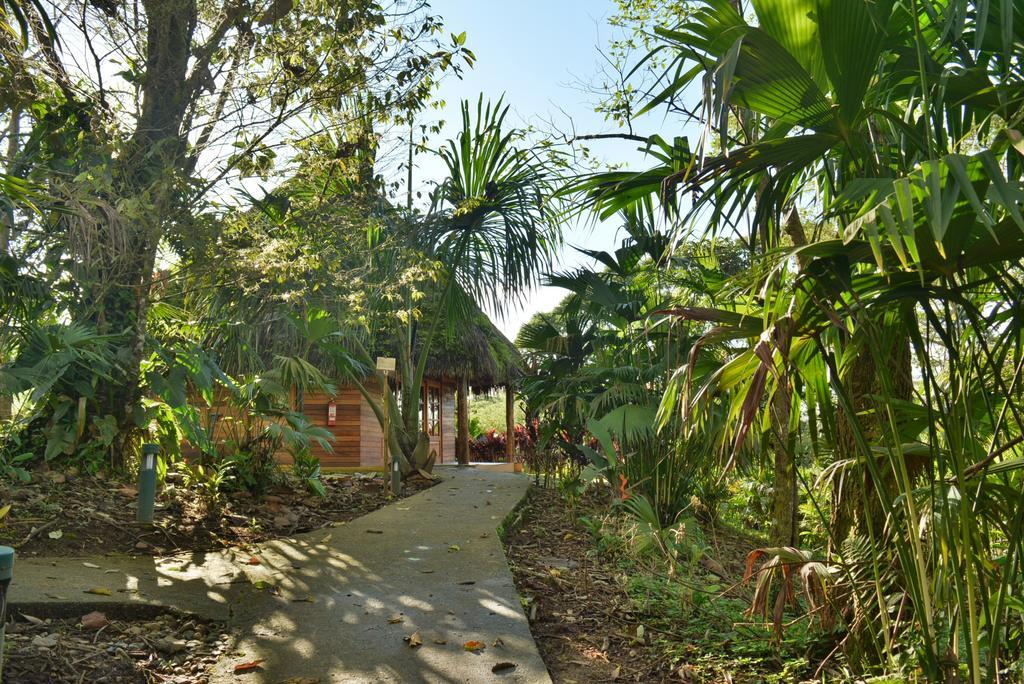 Huasquila Amazon Lodge Cotundo Екстер'єр фото