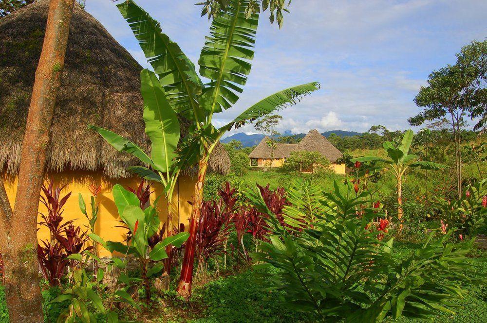 Huasquila Amazon Lodge Cotundo Екстер'єр фото