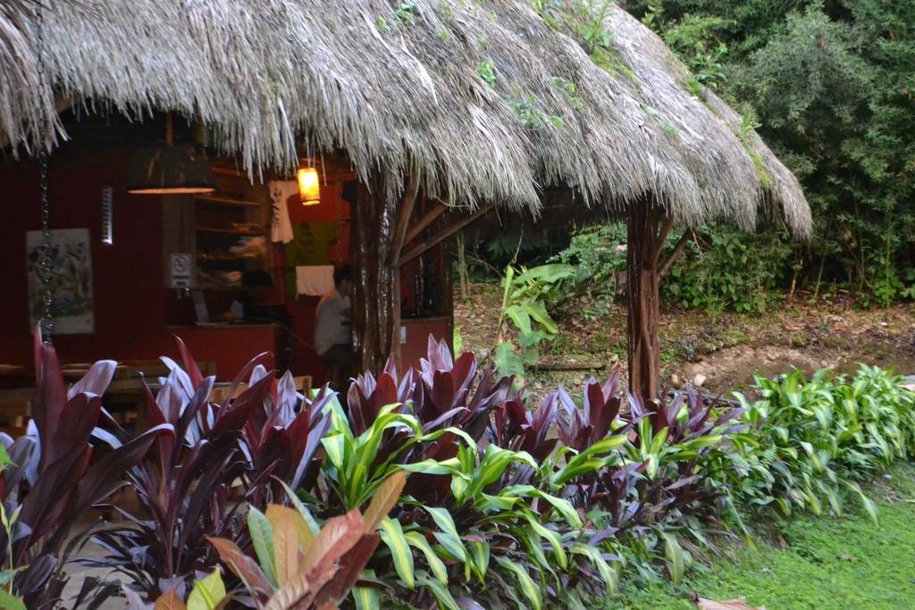 Huasquila Amazon Lodge Cotundo Екстер'єр фото