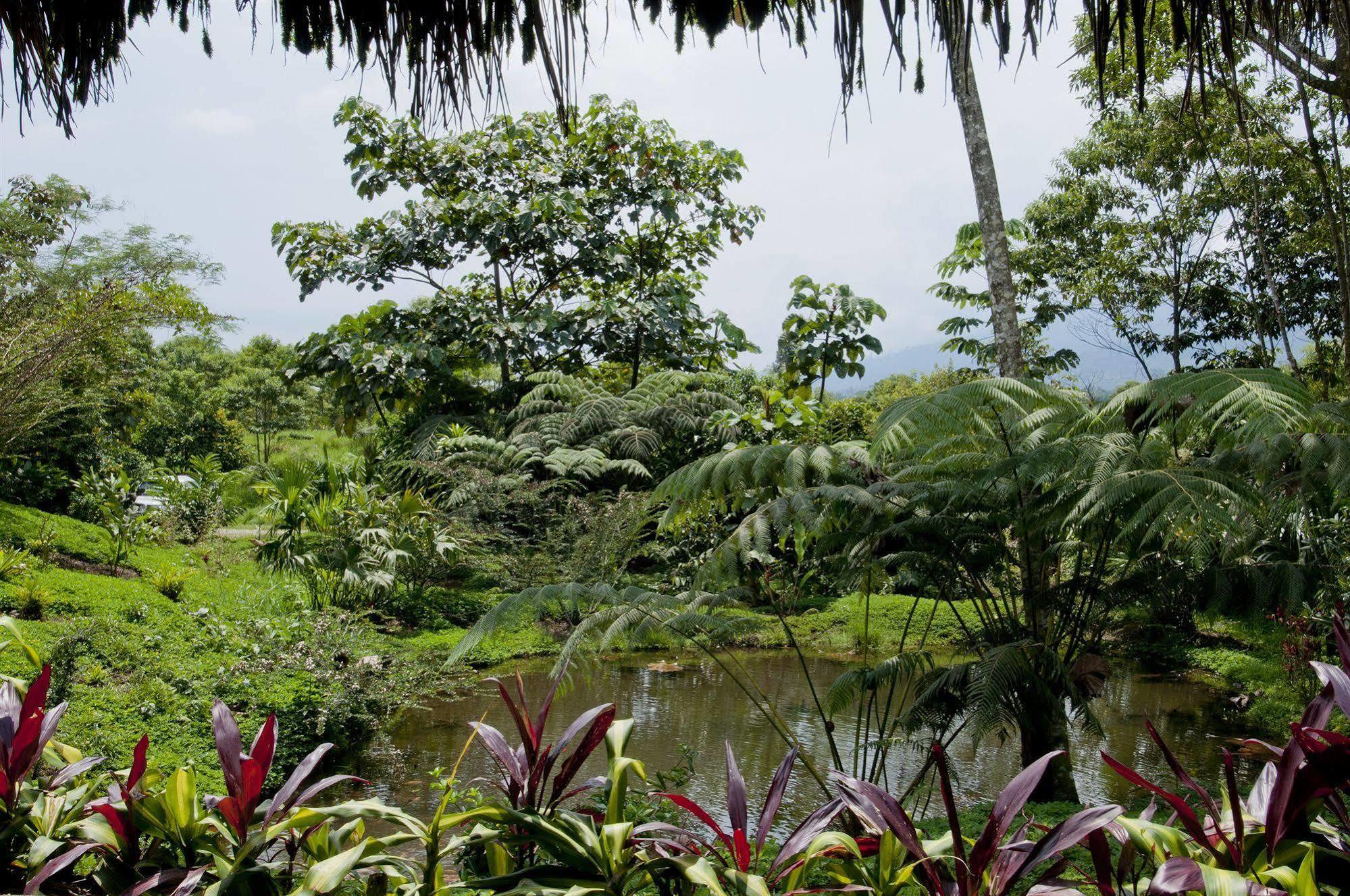 Huasquila Amazon Lodge Cotundo Екстер'єр фото