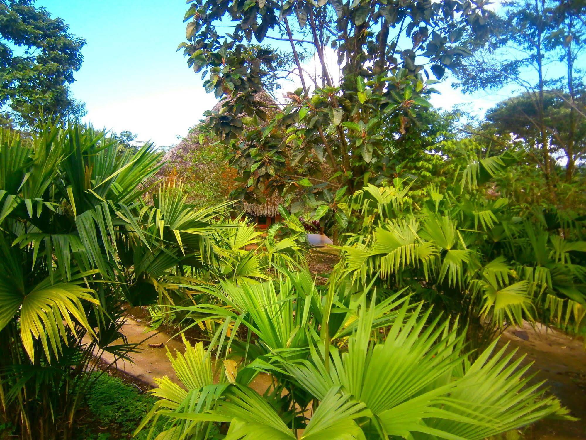 Huasquila Amazon Lodge Cotundo Екстер'єр фото