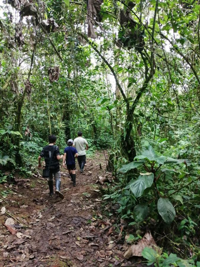 Huasquila Amazon Lodge Cotundo Екстер'єр фото