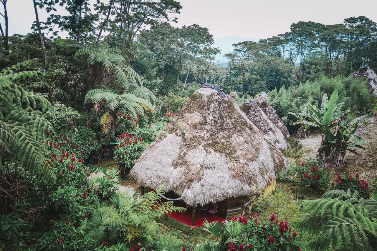 Huasquila Amazon Lodge Cotundo Екстер'єр фото